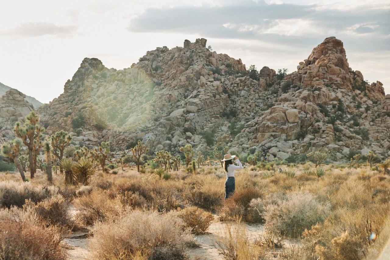 Field Station Joshua Tree 호텔 야카밸리 외부 사진